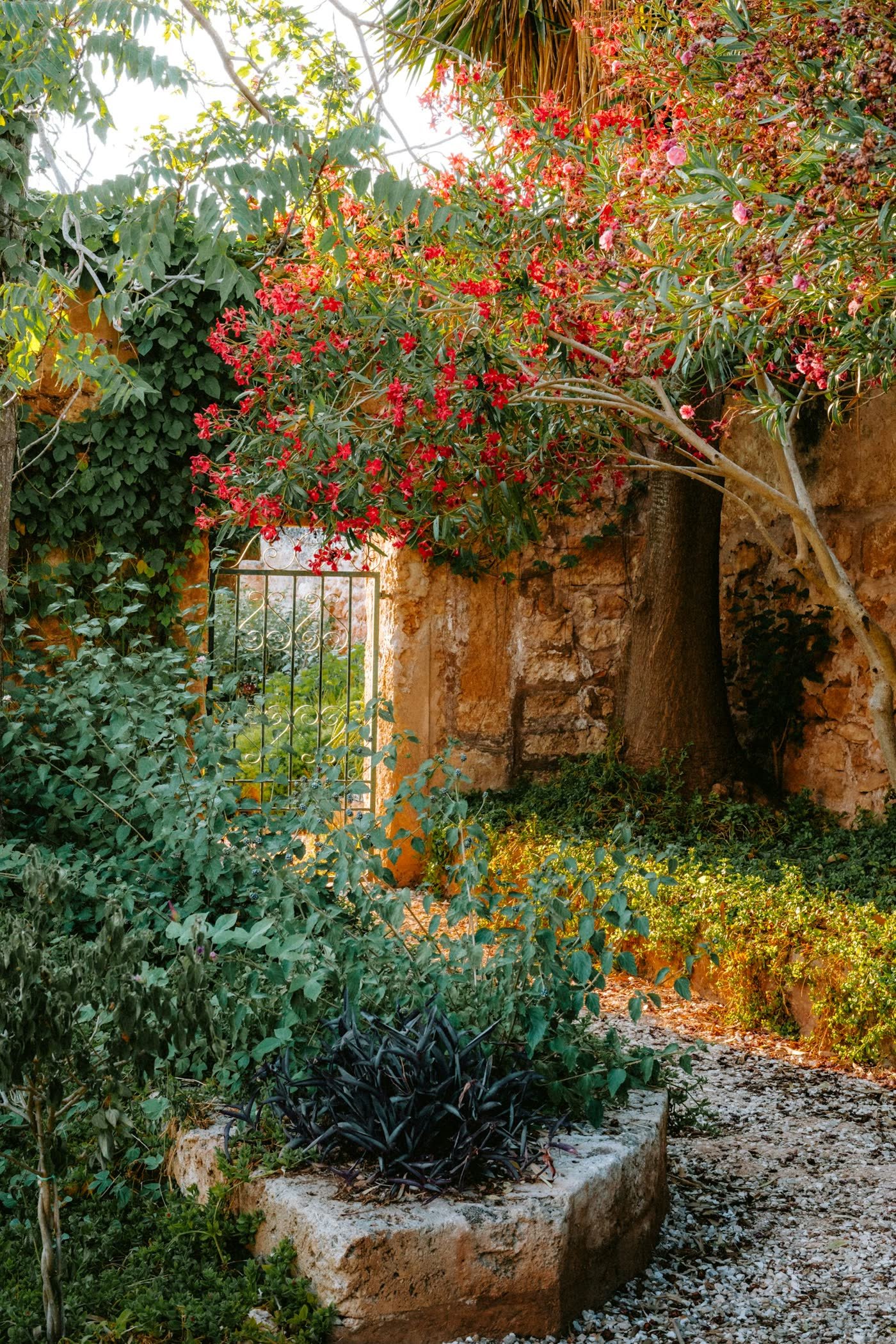 Jardin fleuri et murets en pierre