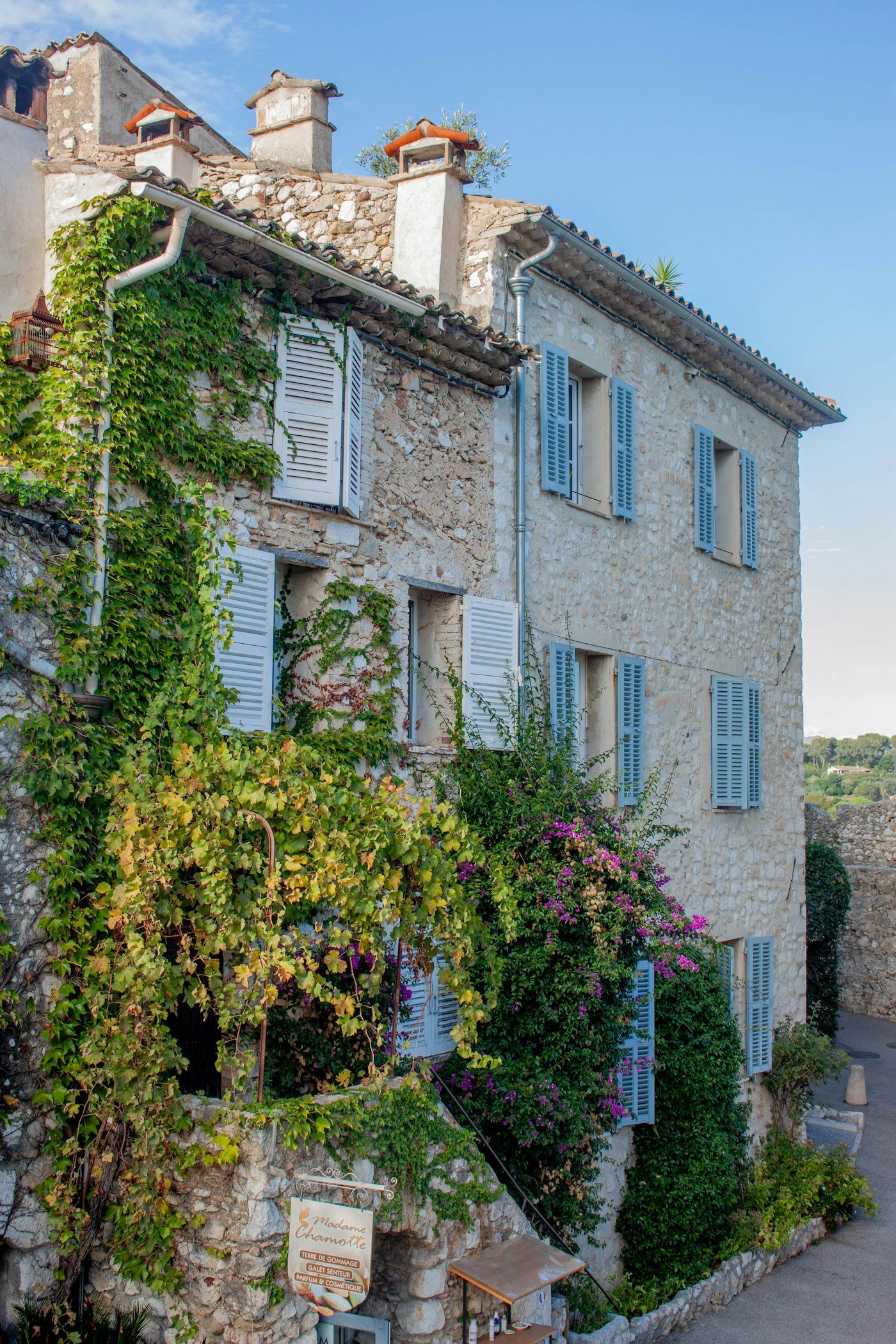 Maison en pierre aux volets bleus couverte de vigne